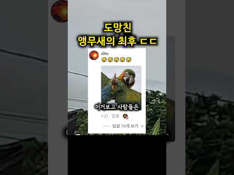 <strong>필립</strong>: "다신보지말자"