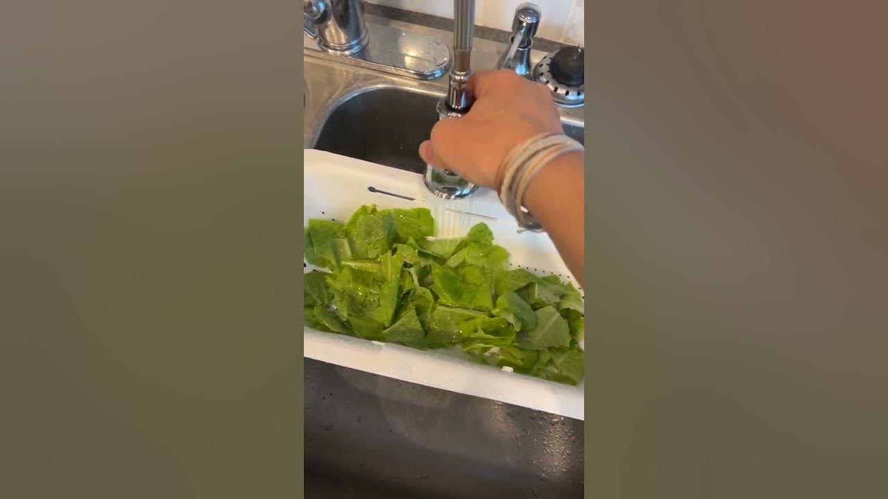 Home Gardening Post Harvest Tips How To Wash Lettuce YouTube