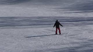 NZSIA Ski Level Two Wedge Parallel - Real Candidate