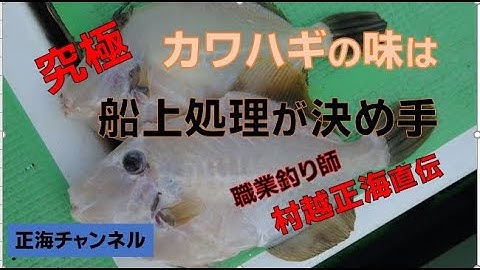 究極のカワハギ料理は、船上の処理が決め手。
