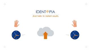 Identopia's APP IO for SailPoint screenshot 4