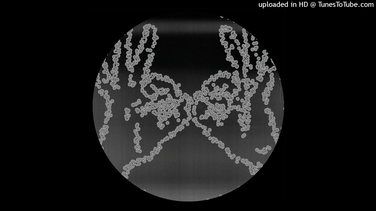 Download Le Trotts - Thrilling Bell [CRTL-SP01.2] MP3