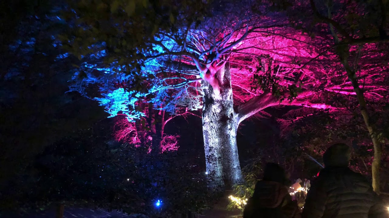 Leonardslee Illuminations 2020 YouTube