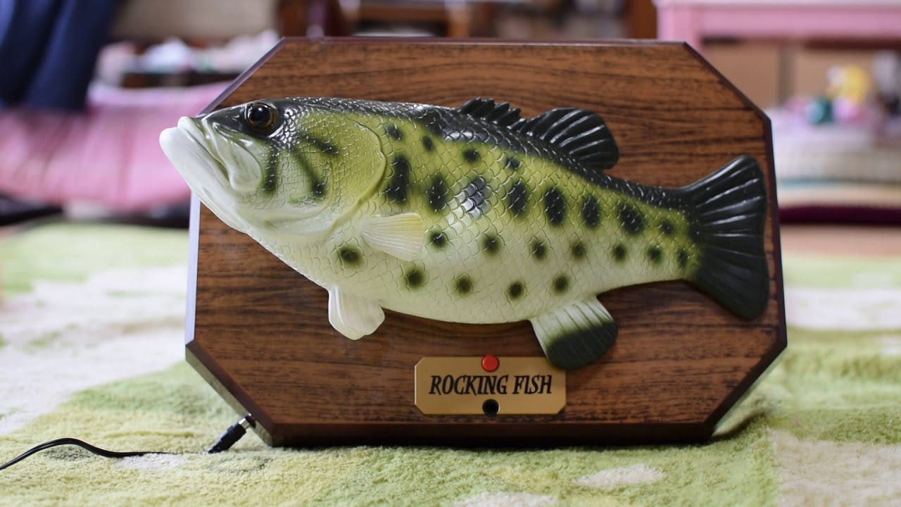 ROCKING FISH - YouTube