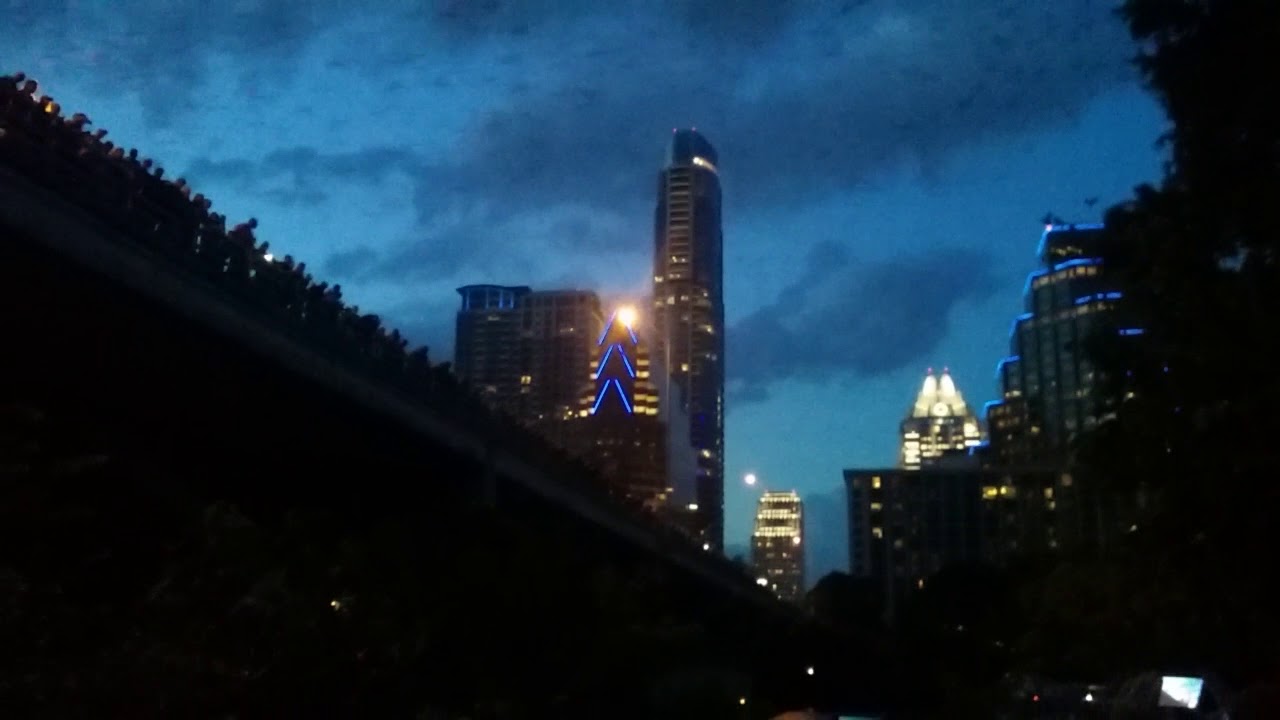 Bats in Austin YouTube