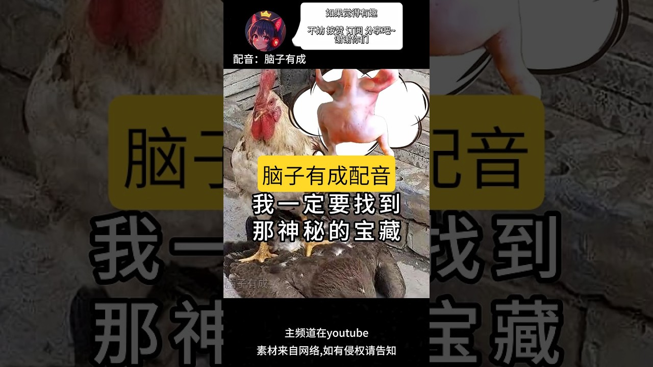 我逃出农场,只为了寻找那个宝藏! #鸡 #搞笑配音 | MYViki