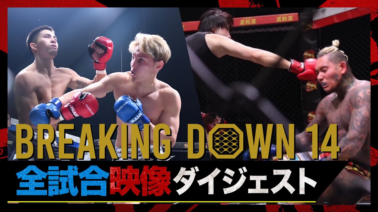 ブレイキングダウン14 ダイジェスト 全試合映像
