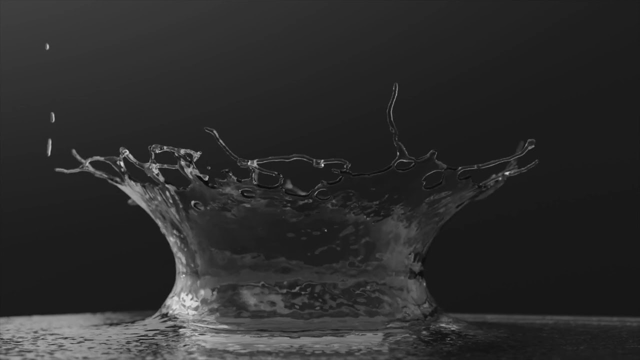 We Are Water - Philip Abussi