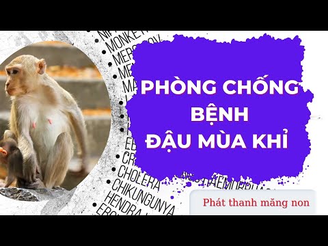 Video PHÒNG CHỐNG BỆNH ĐẬU MÙA KHỈ - PTMN - youtube