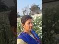 ফুল তুলতে চলে এলাম মাঠে #nature #shorts