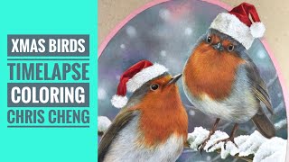 CHRISTMAS BIRDS / Timelapse Coloring // Chris Cheng screenshot 4