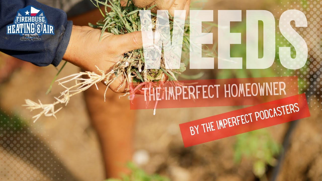 Lawncare and Weeds - How to manage it all