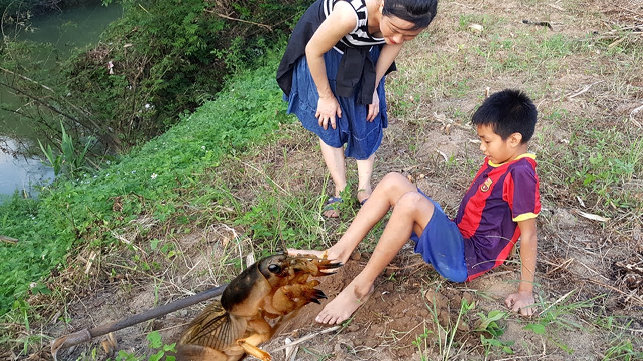 VN Daily - The girl and the boy catch the crickets in the cornfield