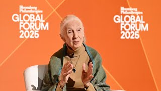 Honoring Dr  Jane Goodall  Legacy of Compassion, Conservation & Discovery Copy