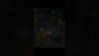 Hot Dorimon And Shizuka