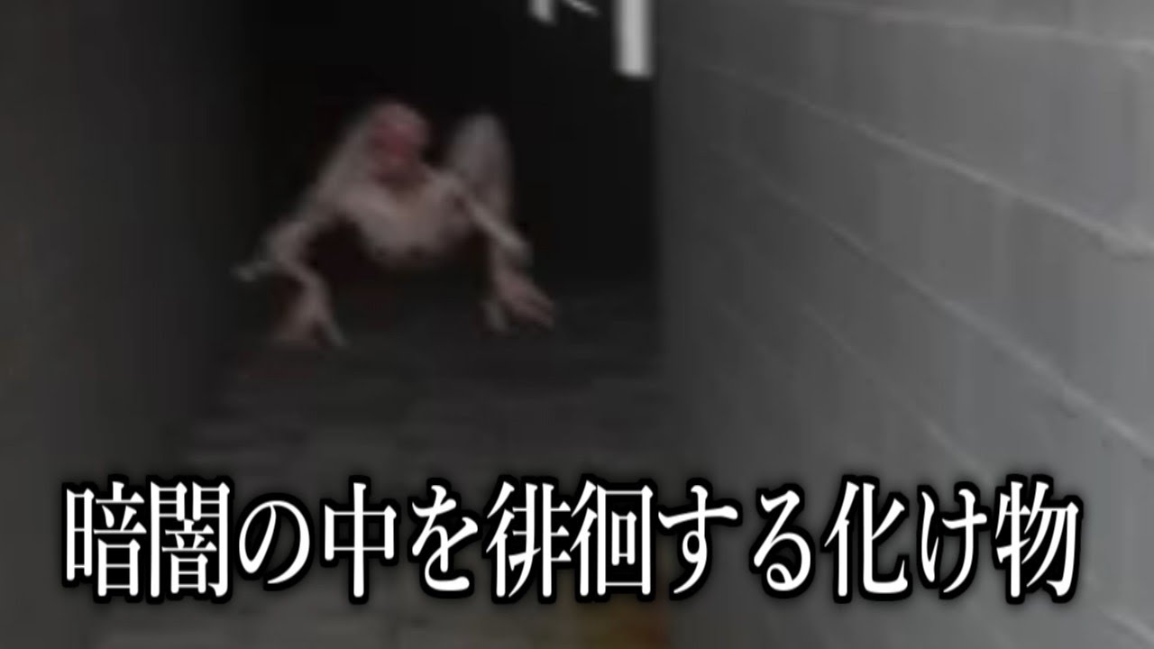 BackRoomsのエンティティから逃げてみた【ゆっくり実況 GMOD】