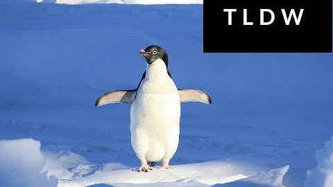 10 ways Linux is just better! according to Linus - TLDW