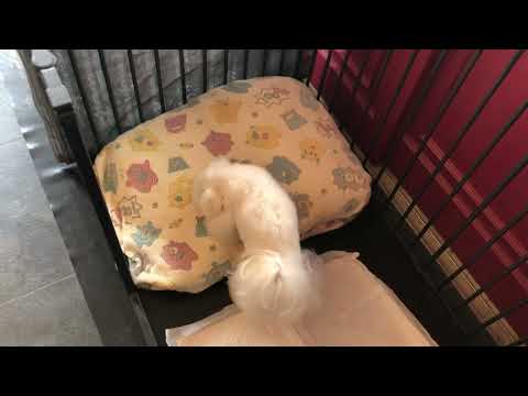 ひまわりちゃんと遊ぶ♪