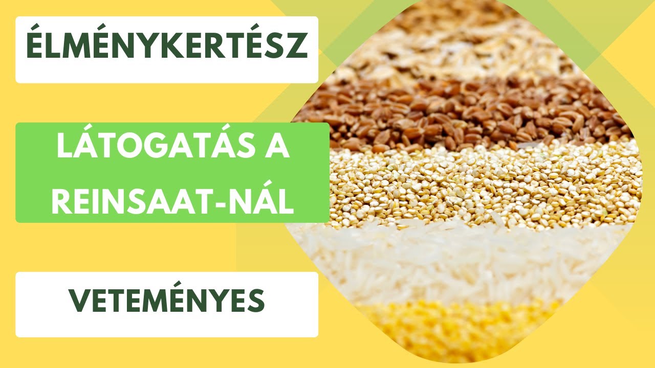 Látogatás a ReinSaat-nál, a biodinamikus vetőmagok világában👨‍🌾