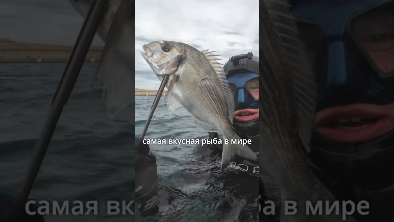 Подстрелил самую вкусную рыбу в мире! 