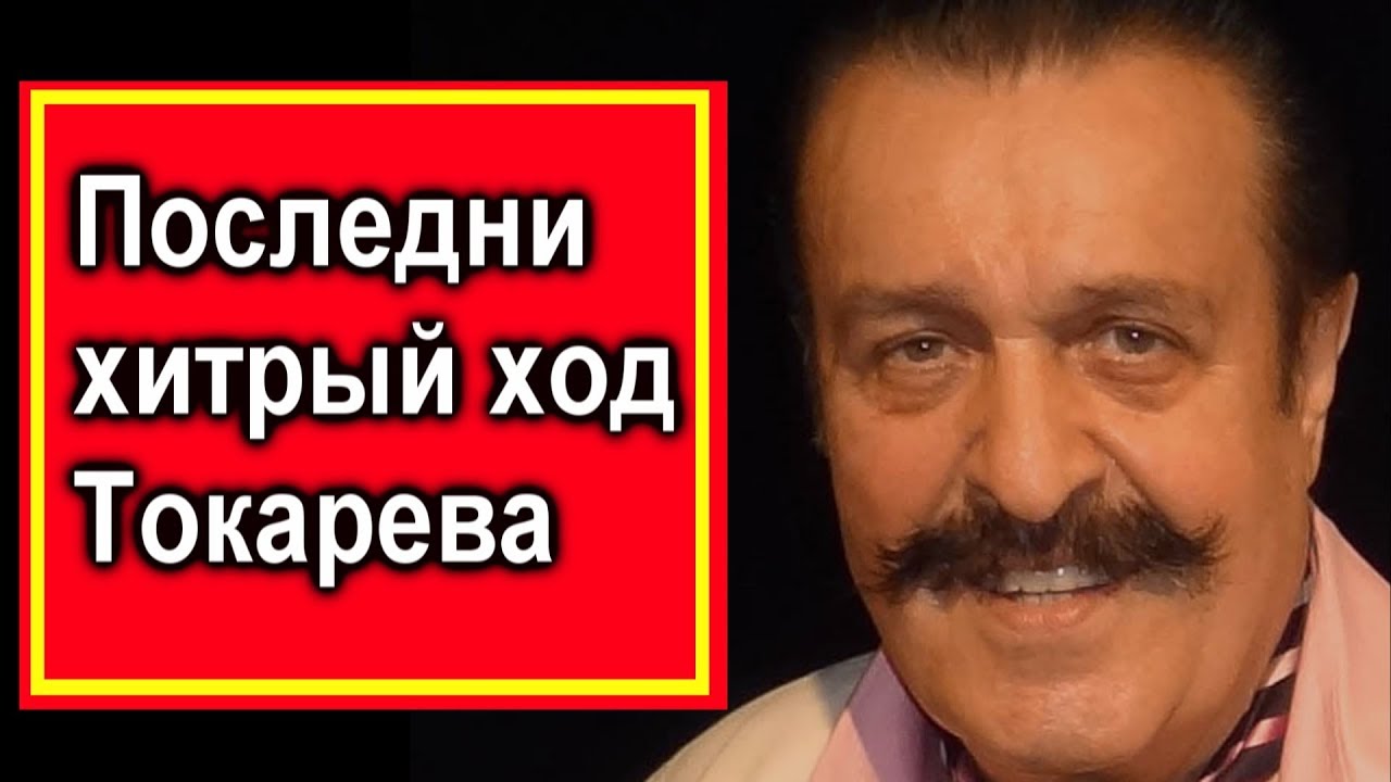 Чери вилли птица