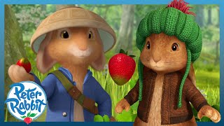 ​@OfficialPeterRabbit 🌱🌸 #Spring Games 🍓🐰 Peter & Benjamin Play Berry Battles 🍓🐰 | Cartoons for Kids