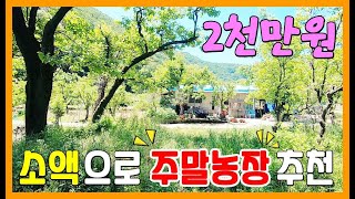 [토지968] 소액(2천만원)으로 주말농장 만들어보세요 #청도부동산 #청도토지매매 #청도땅매매 #청도매전면토지 #청도주말농장 #청도농막토지 #밀양부동산 #밀양토지매매 #밀양땅