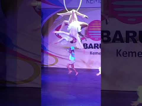 Dynamic Aerial Gymnasts: