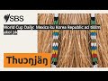 World Cup Daily: Mexico ku Korea Republic aci tiɛ̈ɛ̈m akol jɔk | SBS Dinka - SBS Dinka