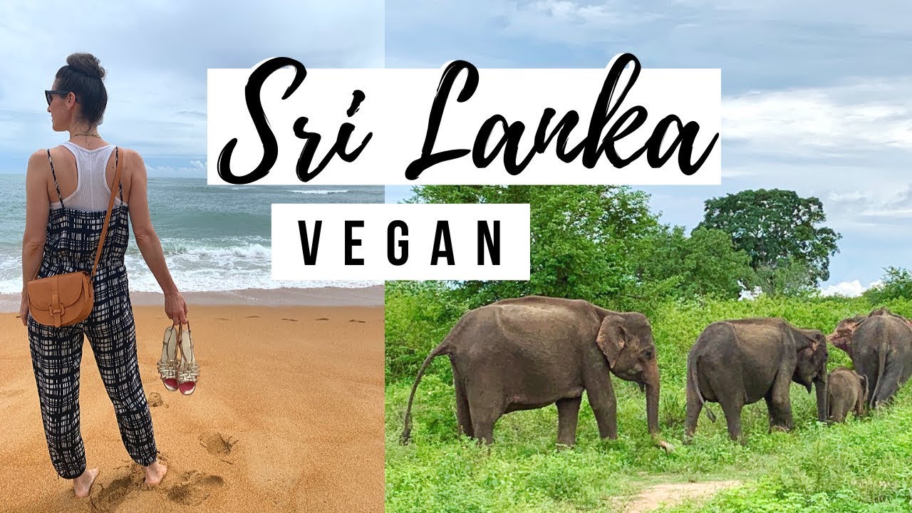 VEGAN SRI LANKA 🐘Elephant Sanctuary | Unawatuna