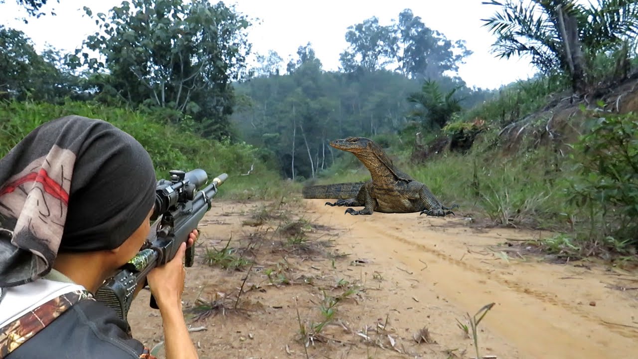 BERBURU ‼️ akhirnya biawak nakal dan hama liar berhasil di eksekusi ..