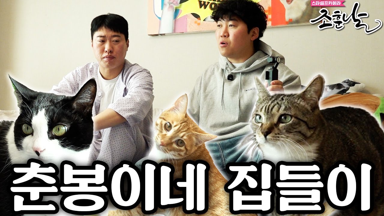 [조훈날] 조회수를 품은 탑급 연예인 고양이들 집들이ㅣ언더월드 송하빈