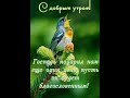 ДОБРОЕ УТРО!!! 🌿Счастья и добра вам! 🌿 Христианское пожелание