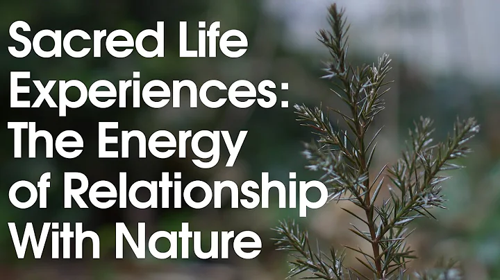 Sacred Life Experiences: The Energy of Relationship With Nature - DayDayNews
