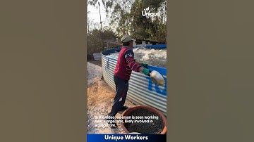 Aquaculture insights: feeding techniques revealed