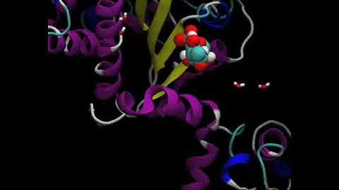 MD simulation of glucosamine-6-phosphate deaminase part III