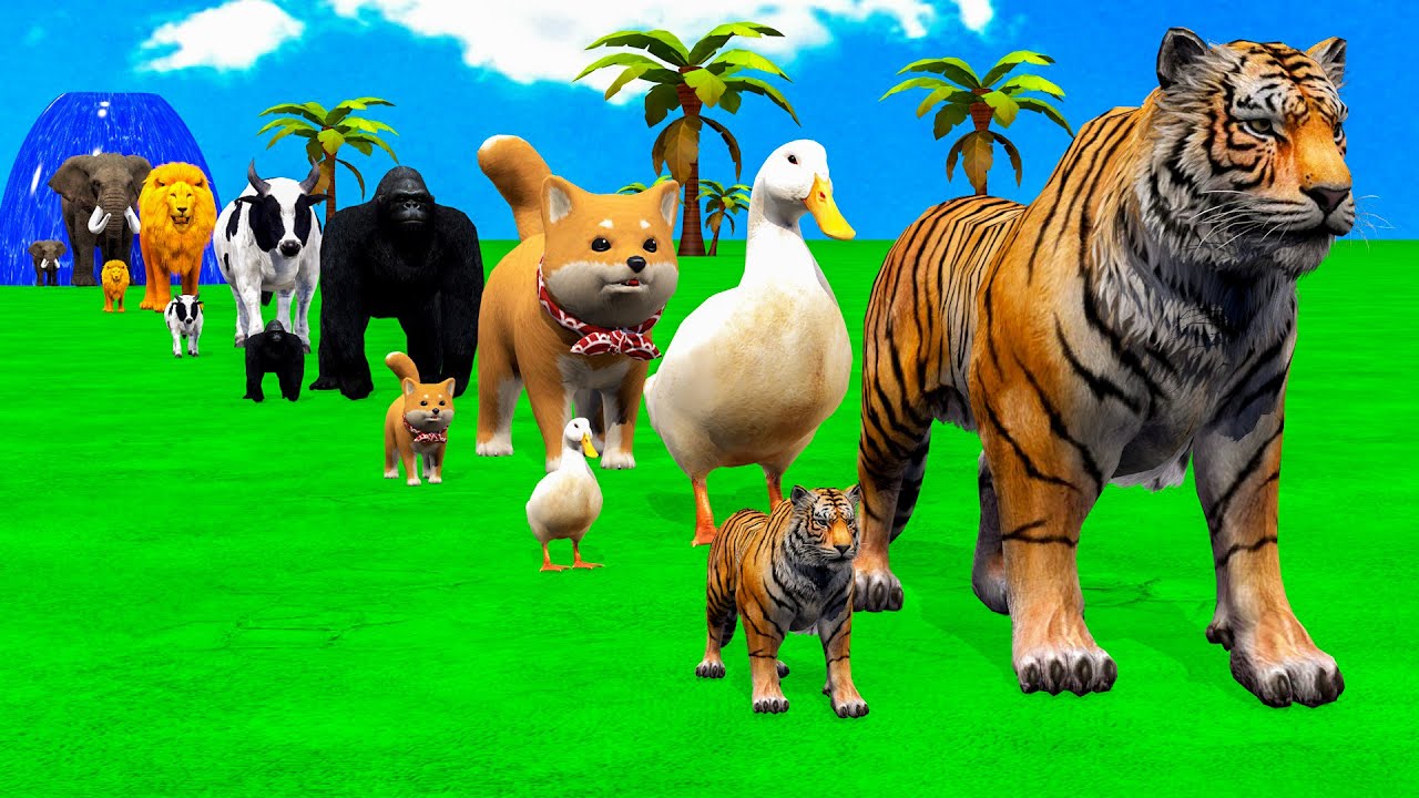Long Slide Game With Cow Bufallo Lion Tiger Elephant - 3d Animal Game - Funny 3d Animals - Long Tail