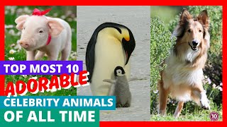 Top 10 Most Adorable Celebrity Animals of All Time