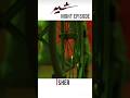 Sher Drama Episode 21 - Two Night Special 🌙