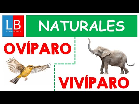 Animales OVÍPAROS y