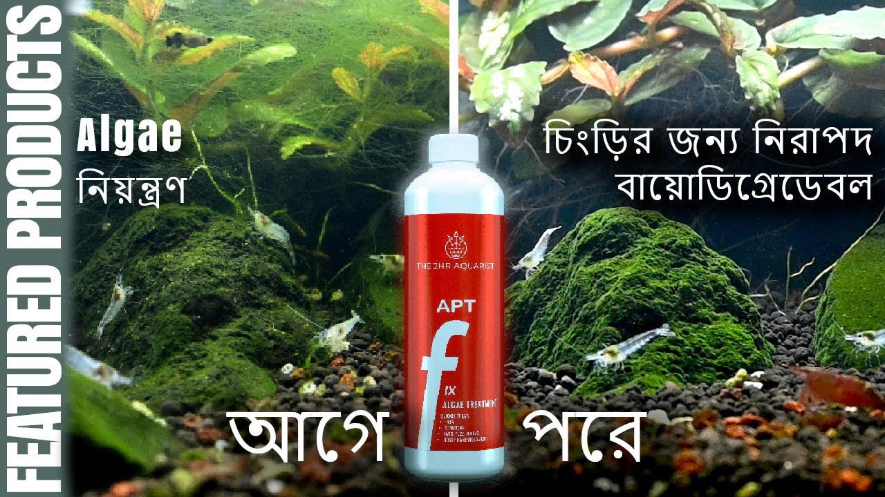 APT Fix Algae Bengali Version YouTube apt-fix-algae-bengali-version-youtube