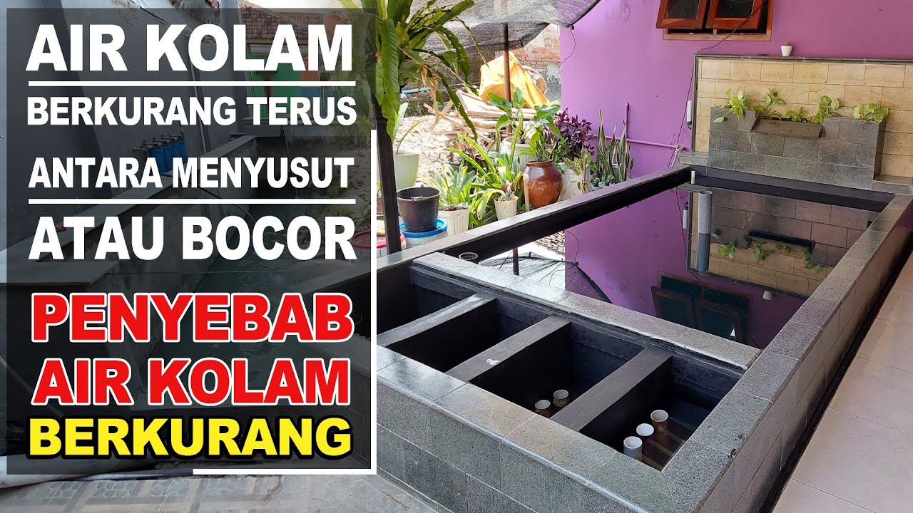 PENYEBAB AIR KOLAM BERKURANG TERUS ⁉️ Test Kebocoran Kolam Ikan‼️
