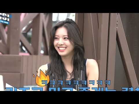 그네타는 개복챌