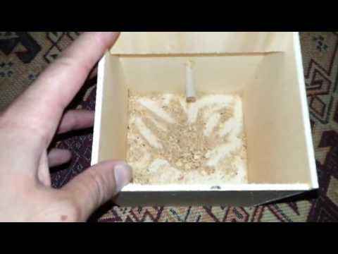 MUHABBET KUŞU YUVALIK NASIL OLMALI - Budgerigar