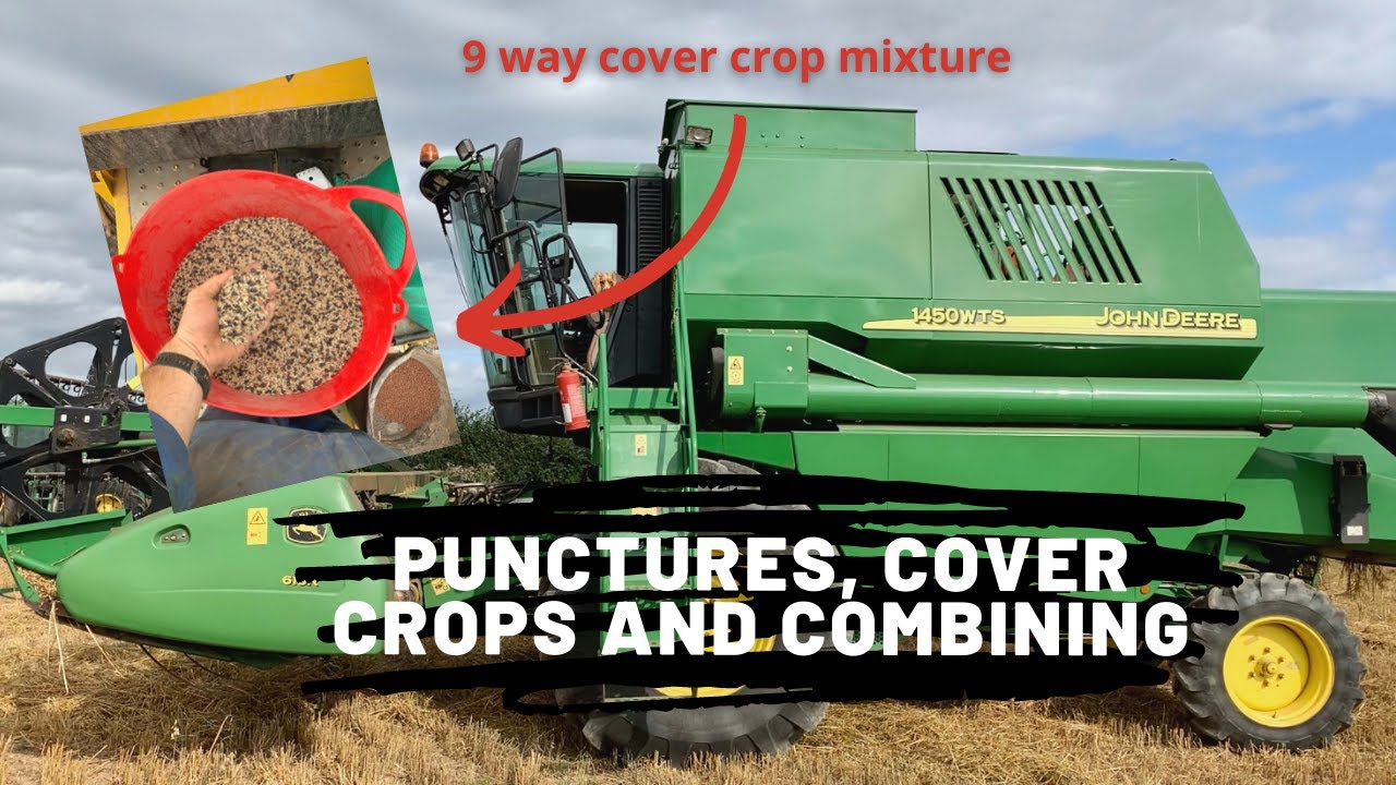 Punctures, Cover crops and Combining Baldy’s Farm The Content Farm