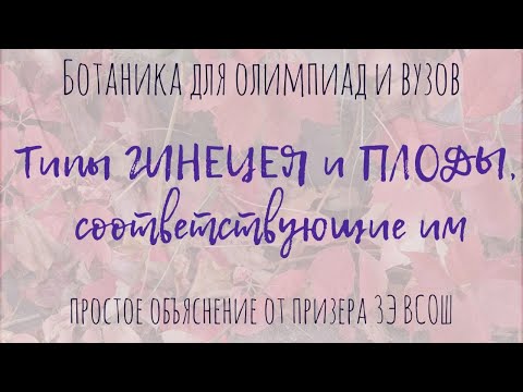 Всё о типах гинецея и плодах | Морфология растений для олимпиад и экзаменов по ботанике в вузе