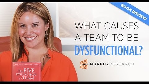 What Causes a Team to Be Dysfunctional? | Murphy Research