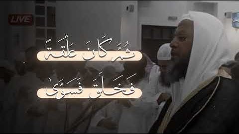 أَيَحْسَبُ الْإِنسَانُ أَن يُتْرَكَ سُدًى (36) تلاوة جميلة من سورة القيامة للشيخ محمد ايوب