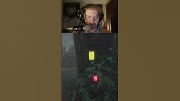 NEVER UNDERESTIMATE THE PLANT TECH #dbd #dbdmemes #deadbydaylight #dbdshorts #dbdclips #twitchclips