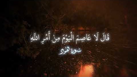 بدها بصوت #ناصر_القطامي وختمها #ياسر_الدوسري #احمد_المزجاجي تلاوة غاية في الخشوع والجمال سورة #هود